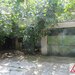 Vatra Luminoasa, Maior Coravu,